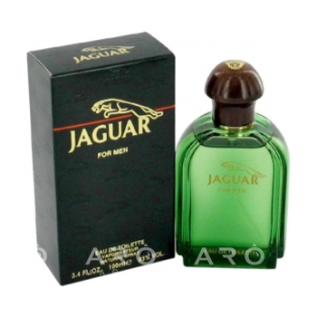 JAGUAR Jaguar for Men (green)