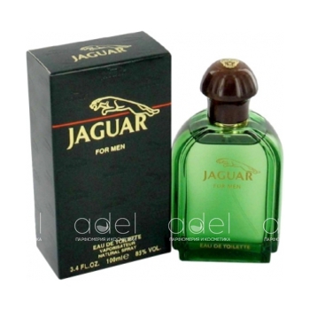 Jaguar for Men (green)