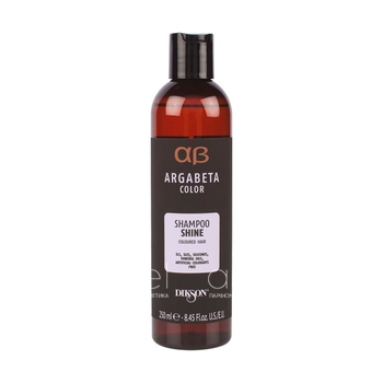 Шампунь для окрашенных волос с маслом черной смородины Argabeta Color Shampoo Shine