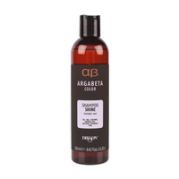 DIKSON Шампунь для окрашенных волос с маслом черной смородины Argabeta Color Shampoo Shine